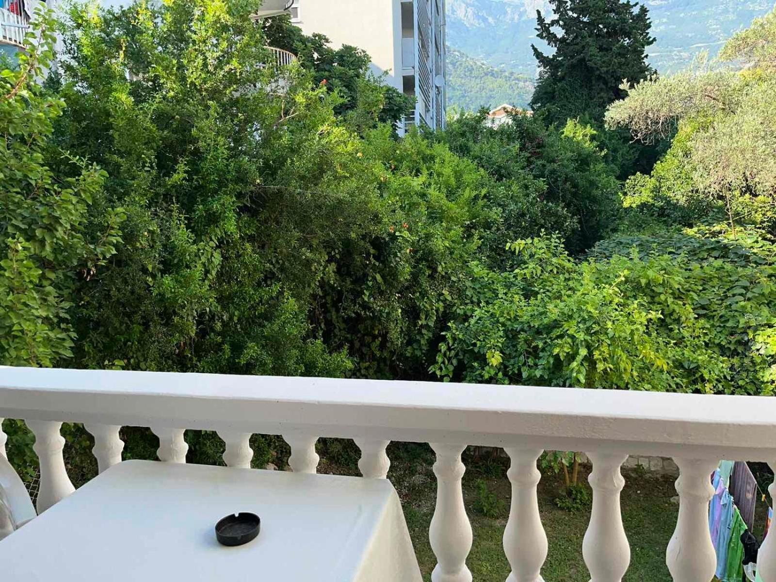 Alexander Apartment Budva